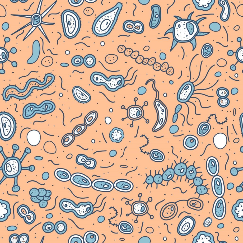 What is your microbiome, and what does it have to do with your skin?