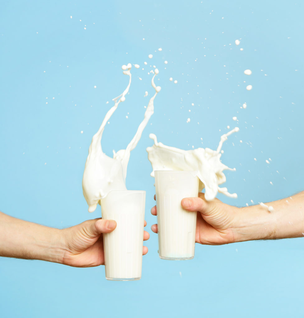 Which type of “milk” is right for you? Let’s compare!