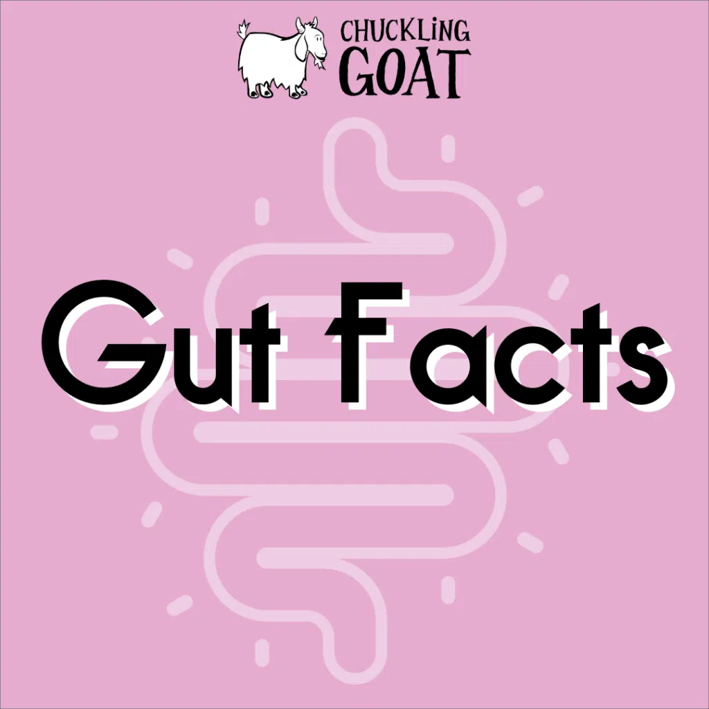 Gut Facts 🤓